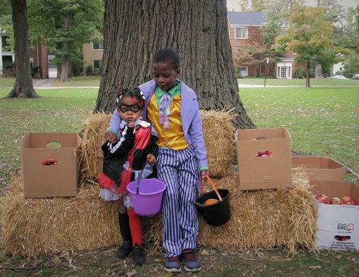 City of Toledo Pumpkinarama | The Toledo Journal